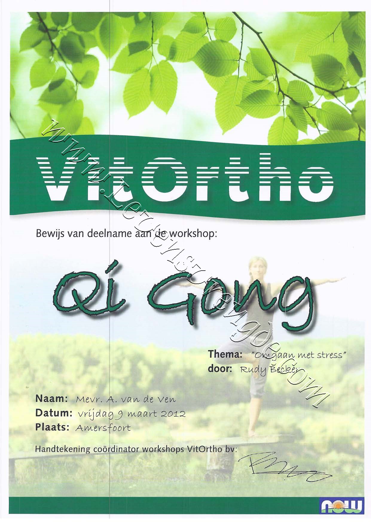 Qi Gong - 2012